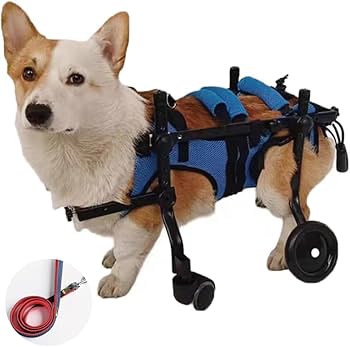 MikeArt 犬用車椅子 Ｓサイズ　サイズ調整可能 Amazon.co.jp: MIKEART 犬用車椅子 歩行器 車いす 4輪 歩行補助